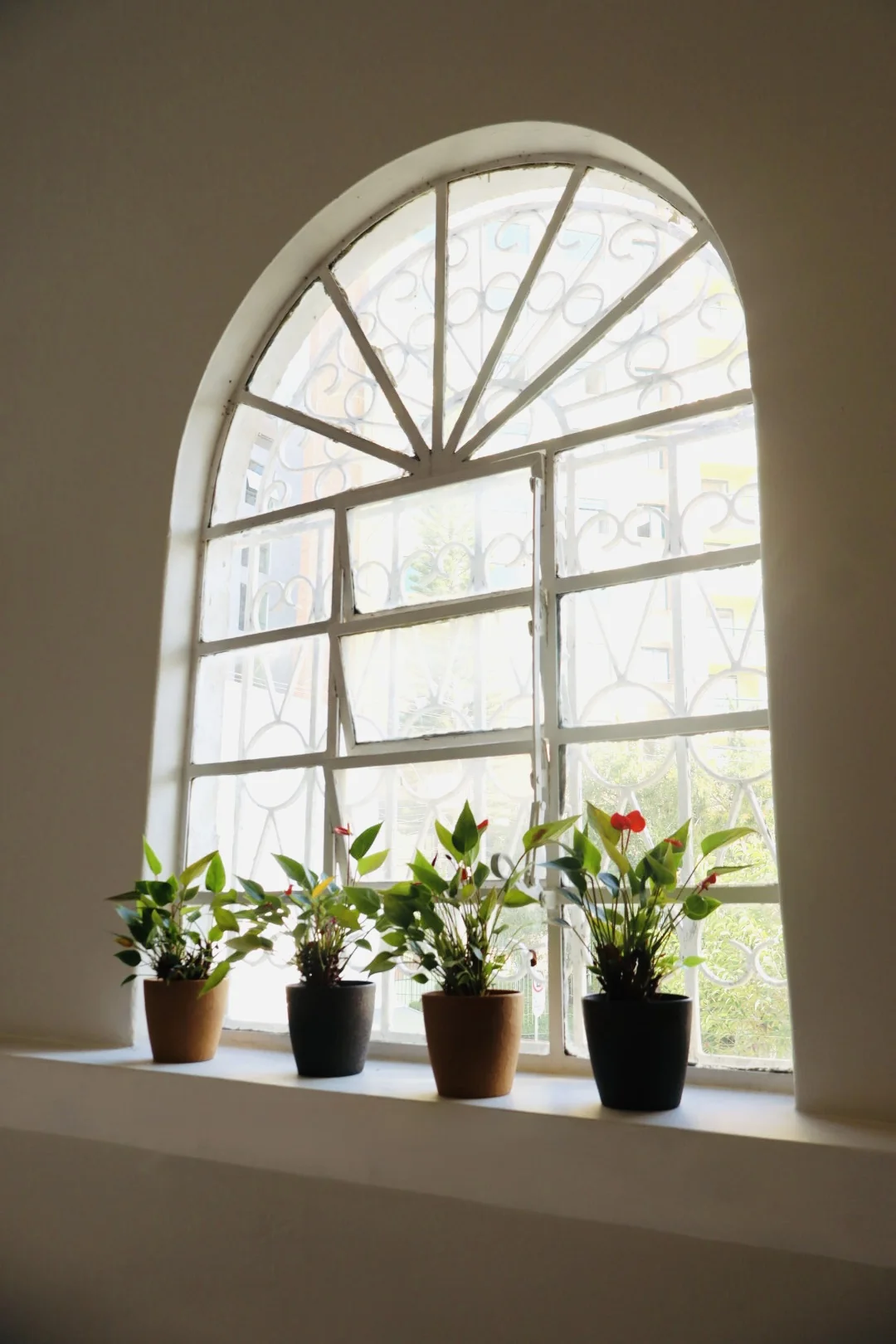 Janela da Casa Reconect com luz natural e plantas