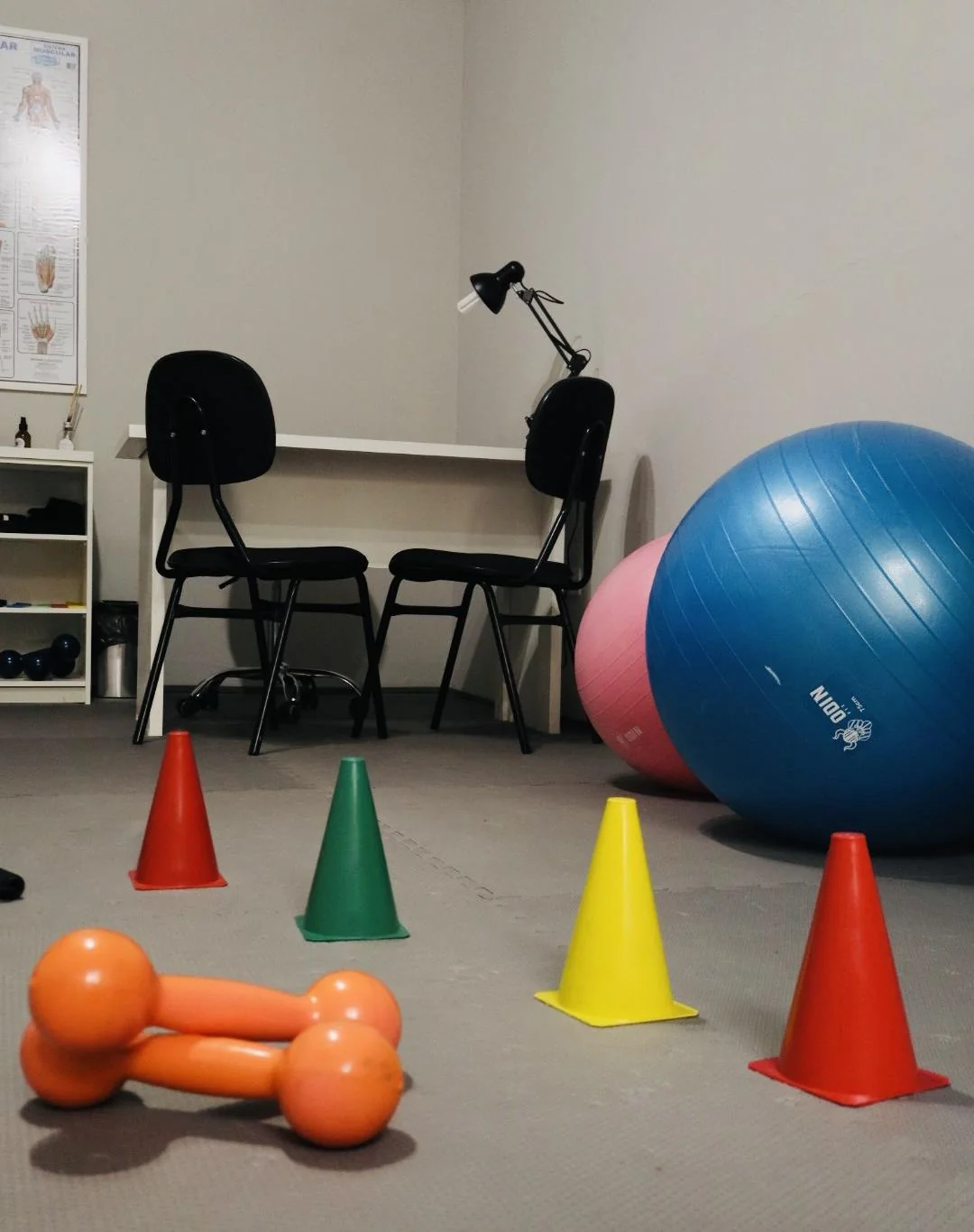 Fisioterapia e movimento — Clínica Reconect